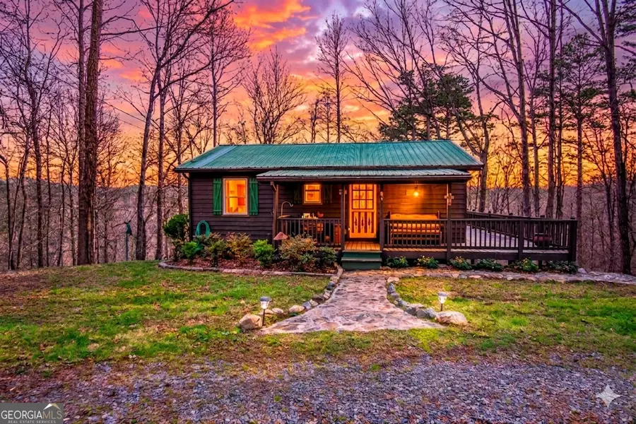 82 Dawgs Drive, Mineral Bluff, GA 30559 - #2