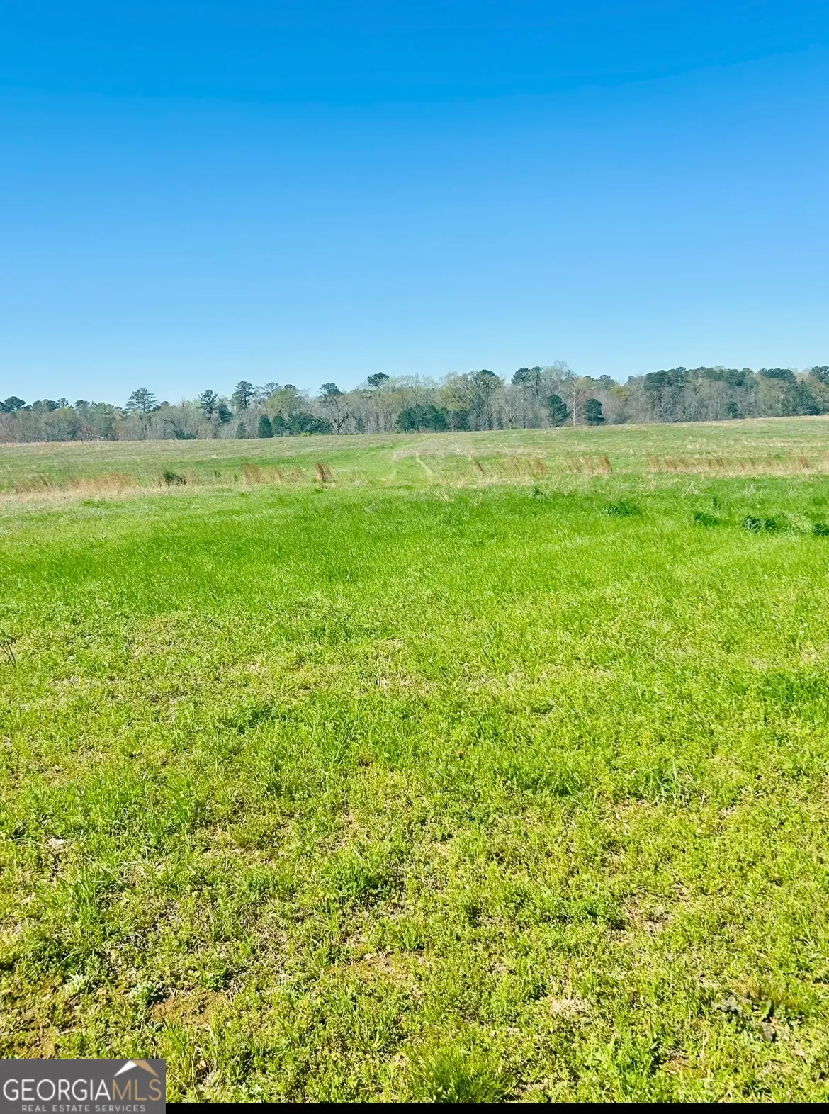 279 Hamil Road #LOT 8, Griffin, GA 30223 - #1