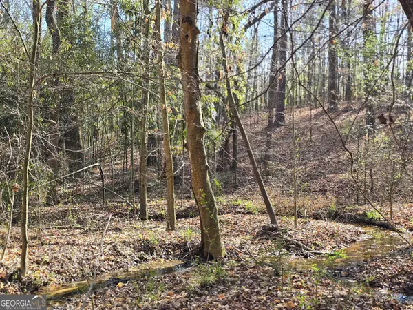 0 Willis Glenn Rd, Hull, GA 30646