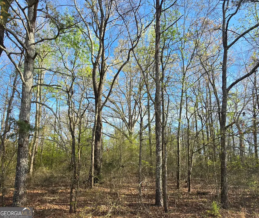 0 Willis Glenn Rd, Hull, GA 30646 - #2