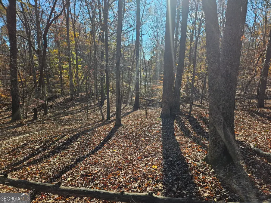 7629 Dogwood Way, Murrayville, GA 30564 - #2