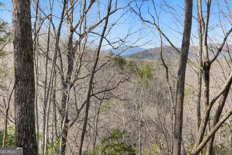 0 Mill Run, Sautee Nacoochee, GA 30571 - #2