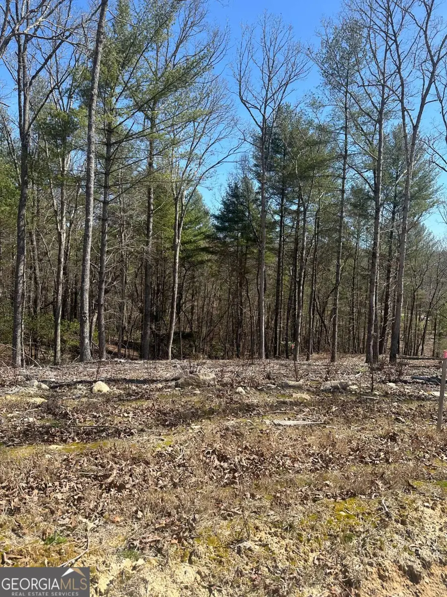 LOT 188 The Ridges, Morganton, GA 30560 - #2