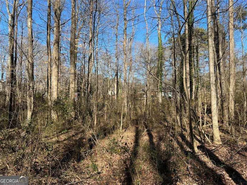 592 Newlin Court, Lawrenceville, GA 30046 - #2