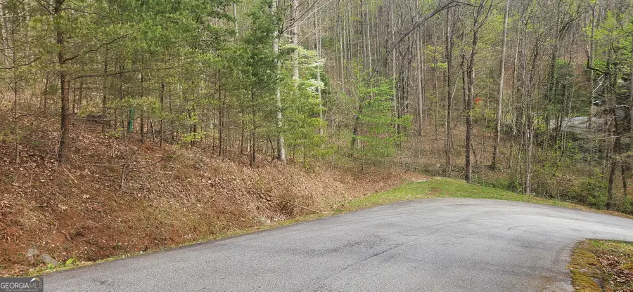 0 Yellow Trillium (lot 13), Clayton, GA 30525 - #2