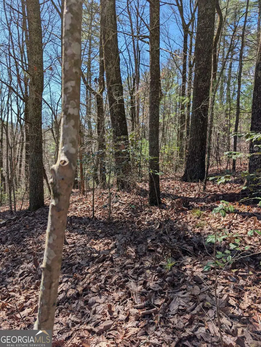 0 Amber Lane, Ellijay, GA 30540 - #2