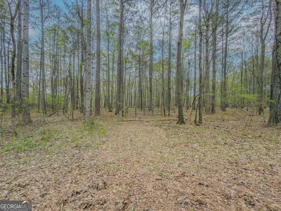 102 Meadow Wood Lane, Monroe, GA 30656 - #3