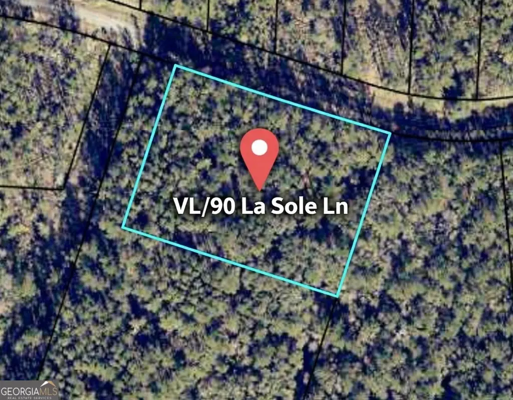 VL/90 La Sole Lane, Waverly, GA 31565 - #1