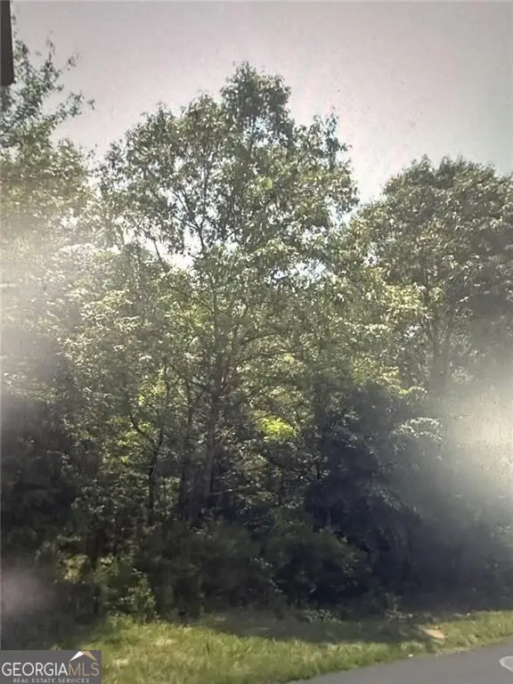 664 N Holcomb Drive, Martin, GA 30557