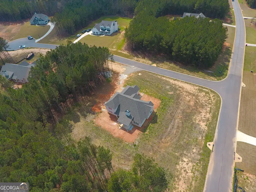 41 Commanche Circle #LOT 55, Williamson, GA 30292 - #3