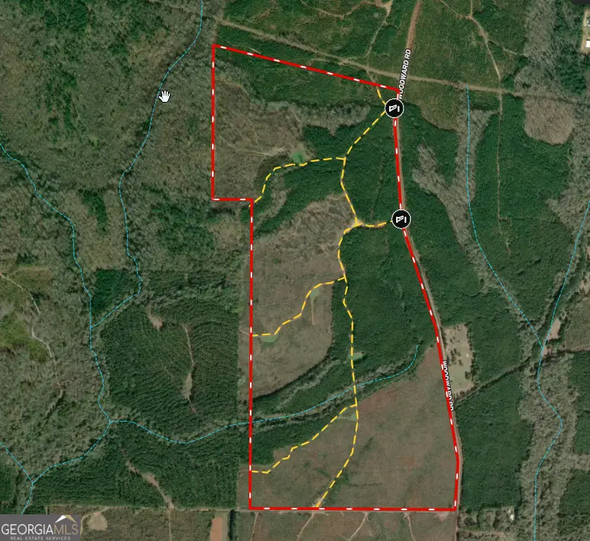 205+/- Woodard Road, Greenville, GA 30222 - #1