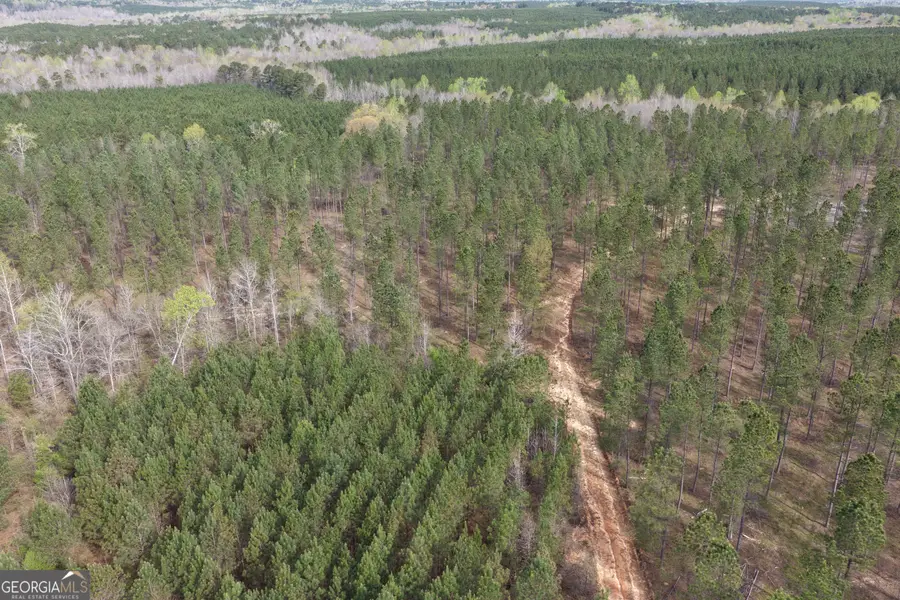 205+/- Woodard Road, Greenville, GA 30222 - #3