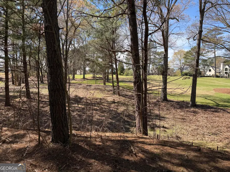 1894 Sam Snead Drive, Braselton, GA 30517 - #3