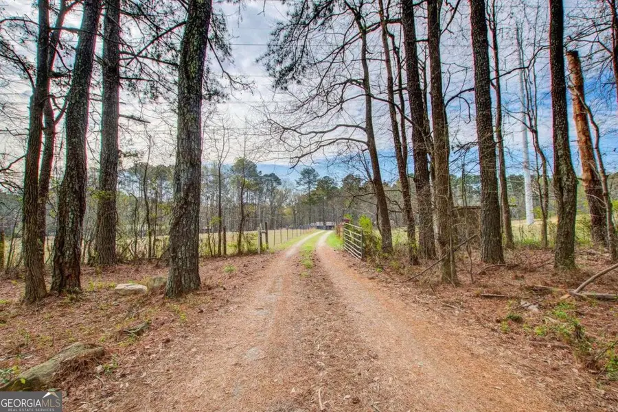 8345 Cleckler Road, Palmetto, GA 30268 - #3