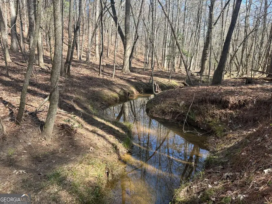 555 Larmon Forks Road, Dahlonega, GA 30533 - #2