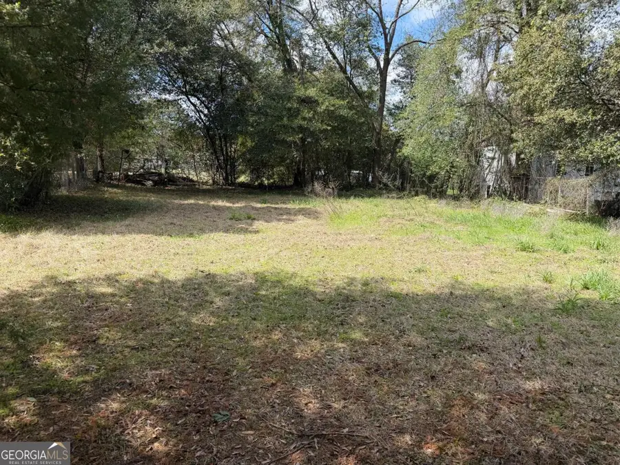 709 Plant Street, Montezuma, GA 31063 - #2