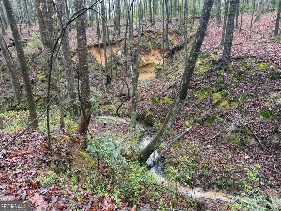 1791 Mcress Gin Road, Watkinsville, GA 30677 - #2