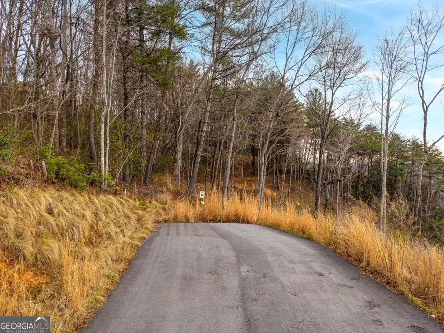 LOT 13 White Oak Circle #13, Blue Ridge, GA 30513 - #2