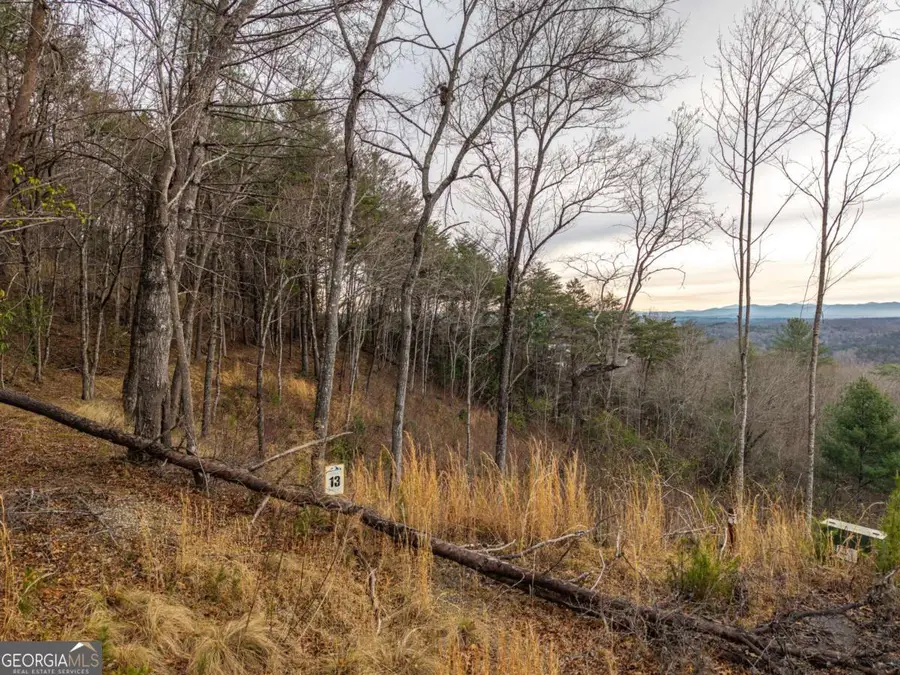 LOT 13 White Oak Circle #13, Blue Ridge, GA 30513 - #3