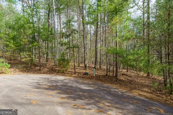 LOT 6 Hampton Road #6, Morganton, GA 30560