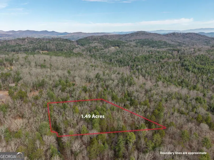 LOT 6 Hampton Road #6, Morganton, GA 30560 - #3