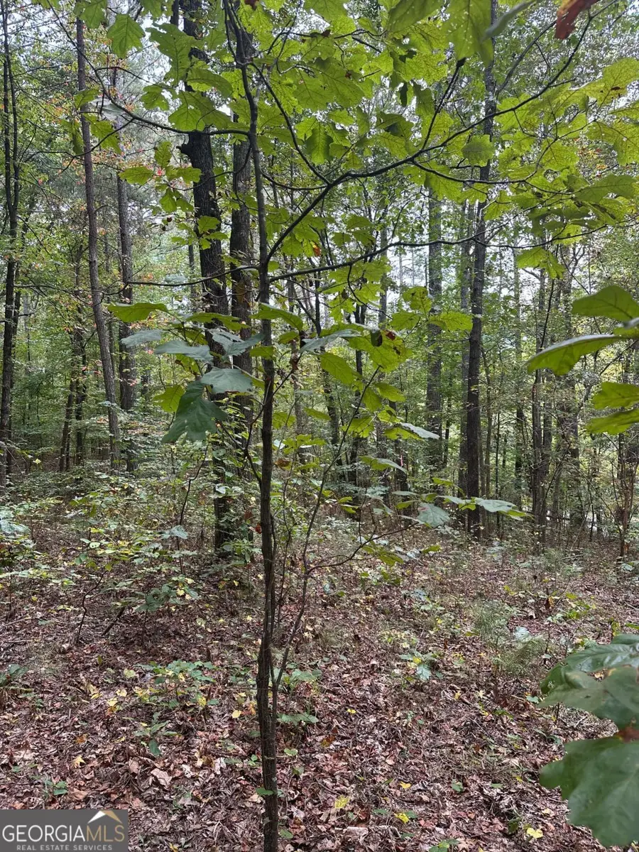 3826 Salacoa-tract C, Waleska, GA 30183 - #3