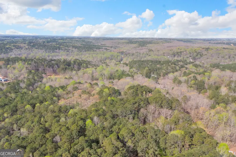 0 Brown Bridge Road, Auburn, GA 30011 - #3