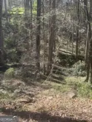 0 Jackson Road, Griffin, GA 30223