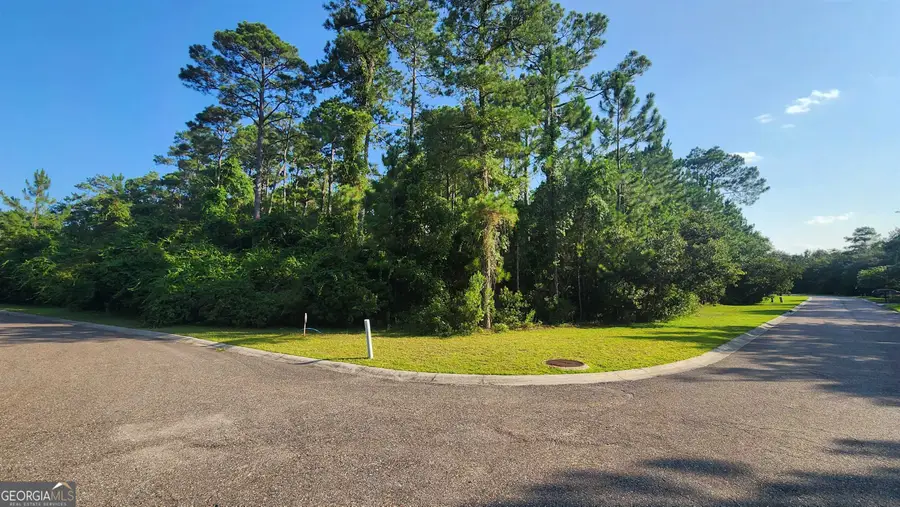 LOT 694 Mooring Lane, Saint Marys, GA 31558 - #2