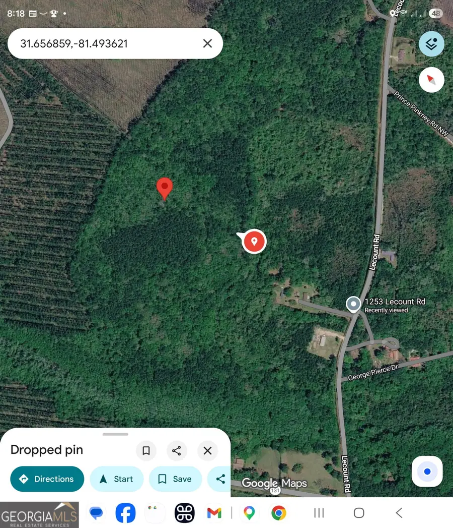 N/S HWY 131 Lecounte Road, Riceboro, GA 31323 - #2