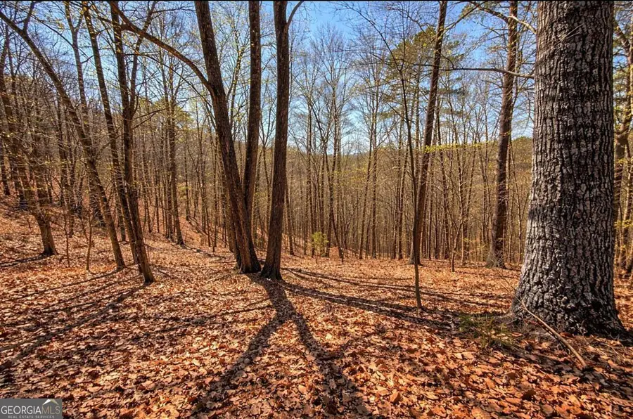 LOT 37 Clear Creek Acres, Talking Rock, GA 30175 - #2
