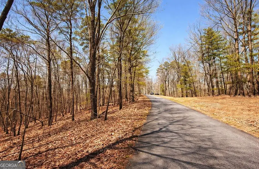 LOT 37 Clear Creek Acres, Talking Rock, GA 30175 - #3