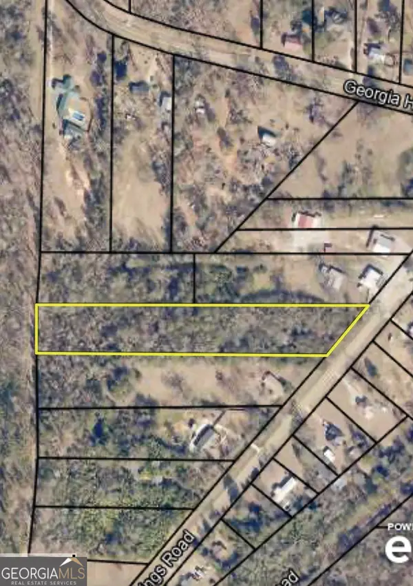 12195 Warm Springs Road, Ellerslie, GA 31807