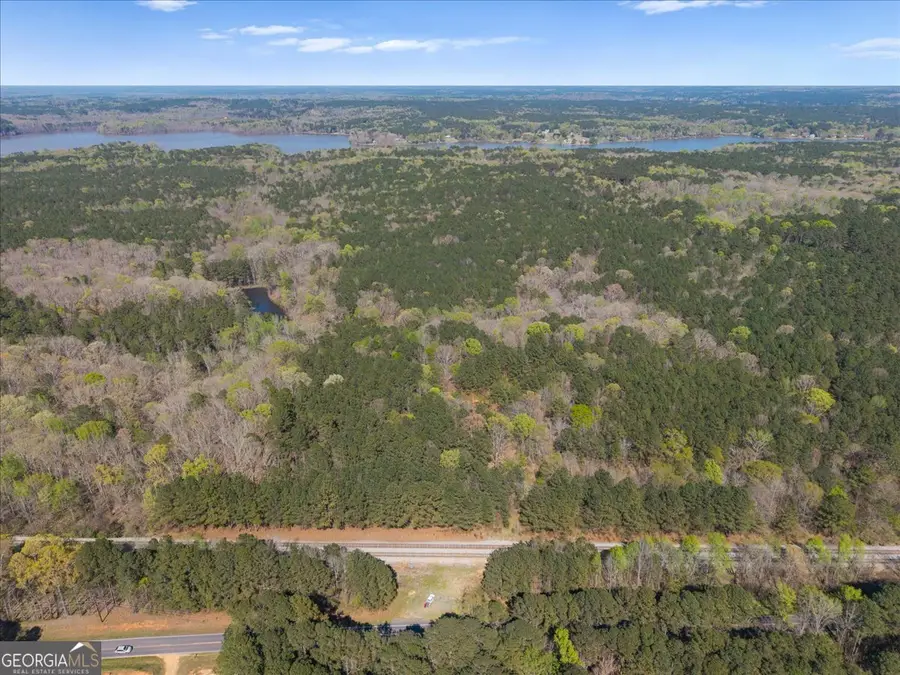198 +/- ACRES Apalachee Woods Trail, Buckhead, GA 30625 - #2