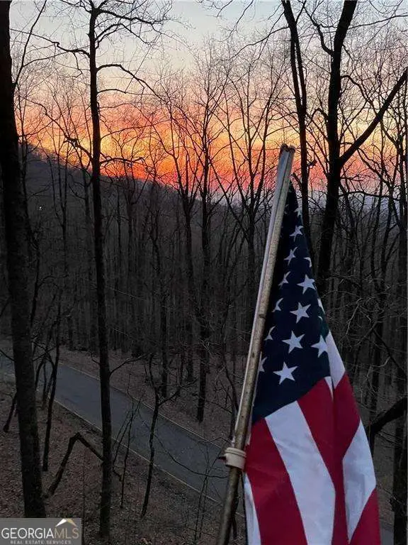 947 Skyview Drive, Ellijay, GA 30536 - #2