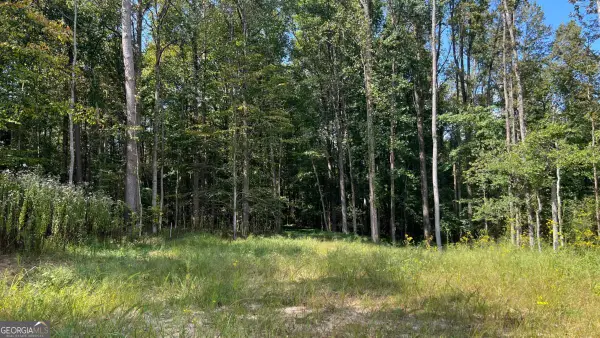 512 Level Creek Road, Sugar Hill, GA 30518