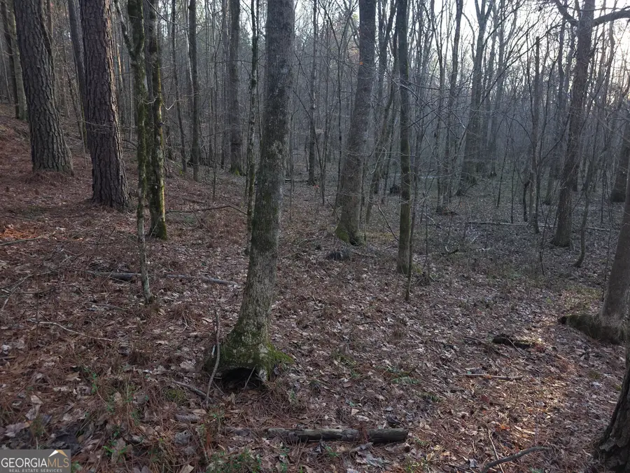 0 Golden Rd, Temple, GA 30179 - #2