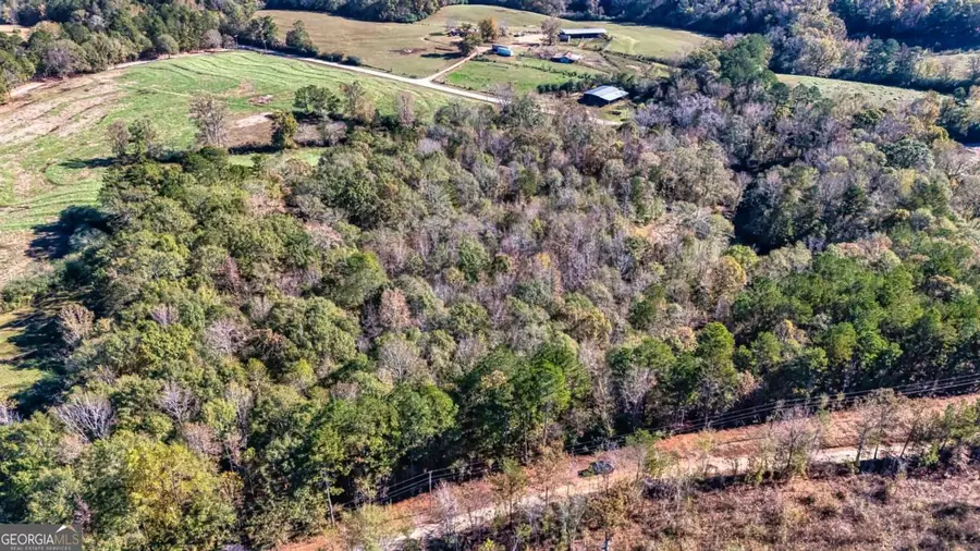 0 Holly, Franklin, GA 30217 - #3