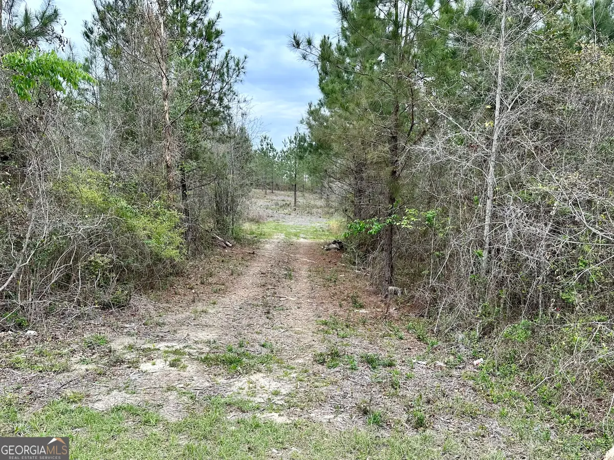 1976 Rock Springs Road, Dublin, GA 31021 - #1