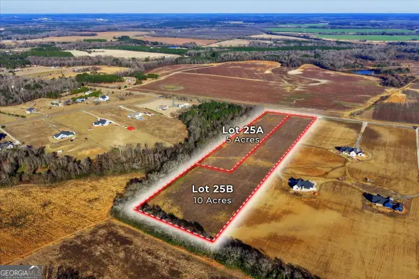 2567 (LOT 25A) Elko Road, Elko, GA 31025