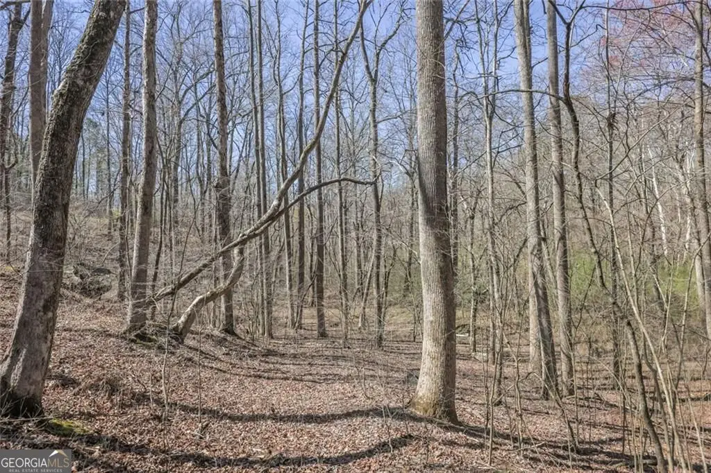 LOT 62 Cherokee Wood Hollow Drive, Ball Ground, GA 30107 - #1