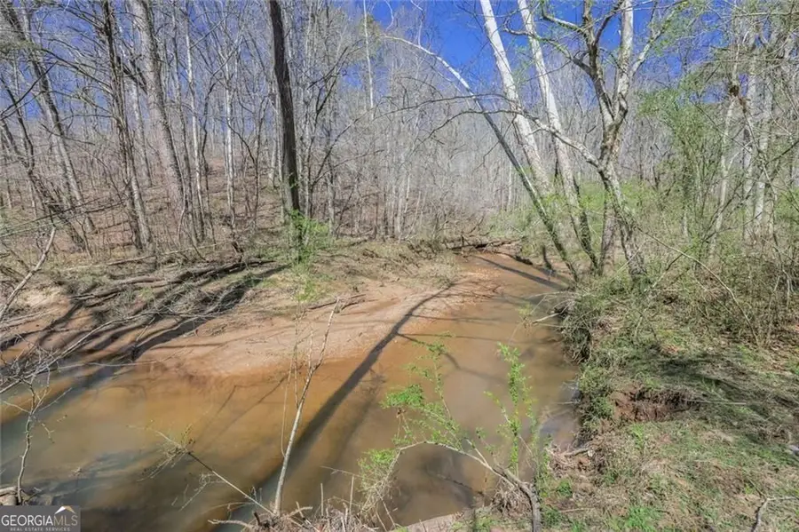 LOT 62 Cherokee Wood Hollow Drive, Ball Ground, GA 30107 - #3
