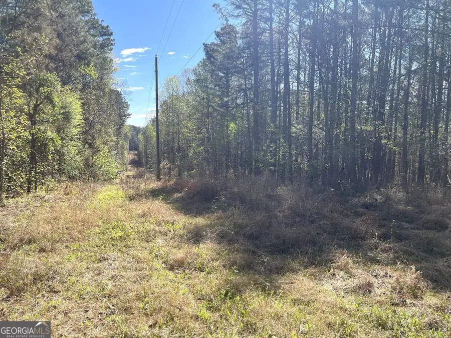 471 N Raburn Road, Bremen, GA 30110 - #2