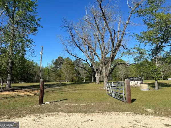 4645 Pleasant Plains Road, Harrison, GA 31035