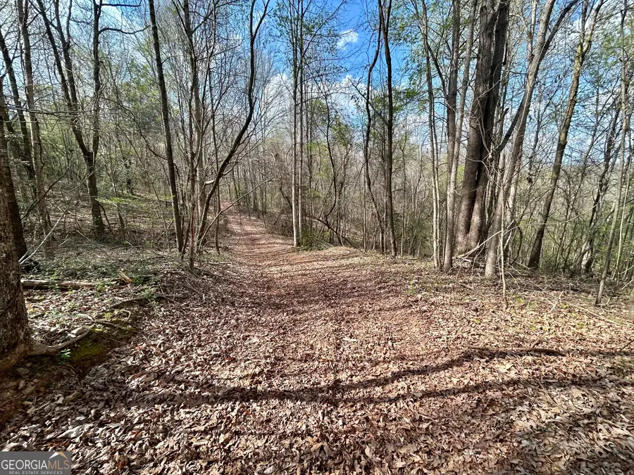 631 Jim Grizzle Road, Royston, GA 30662 - #2