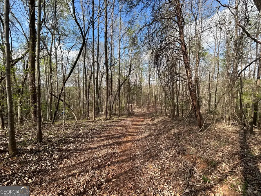 631 Jim Grizzle Road, Royston, GA 30662 - #3