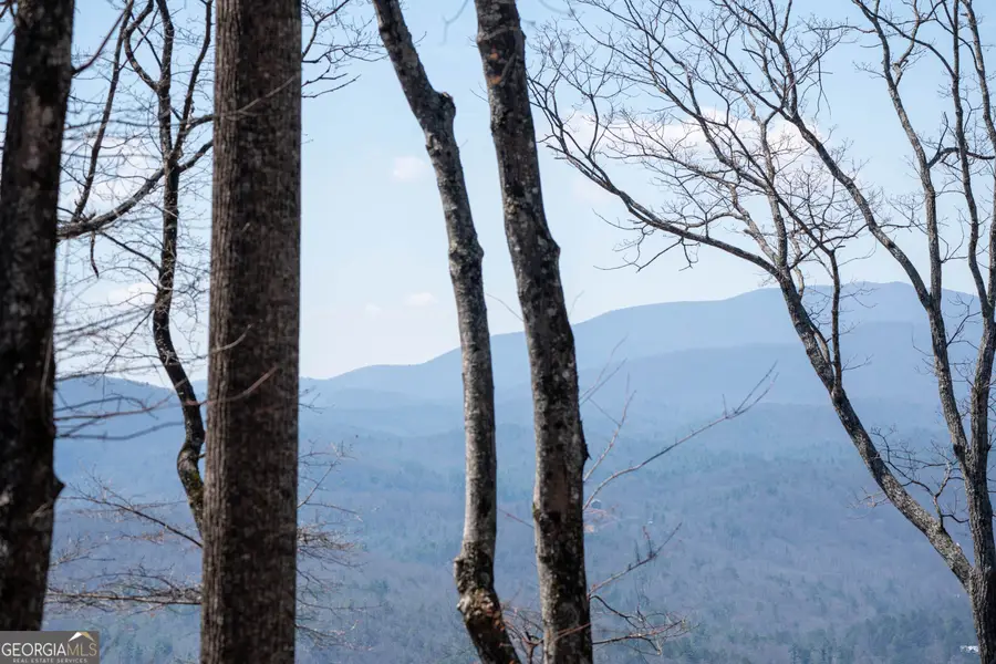 LOT 11 Rainwater Trail, Tiger, GA 30576 - #2