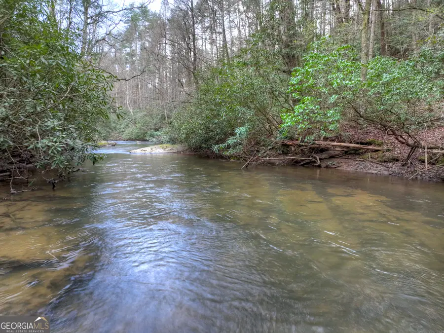 266 River Road, Cherry Log, GA 30522 - #3