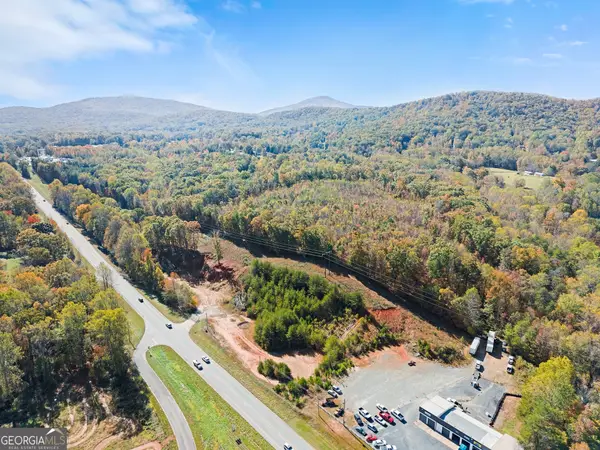 54 Totherow Road, Cleveland, GA 30528