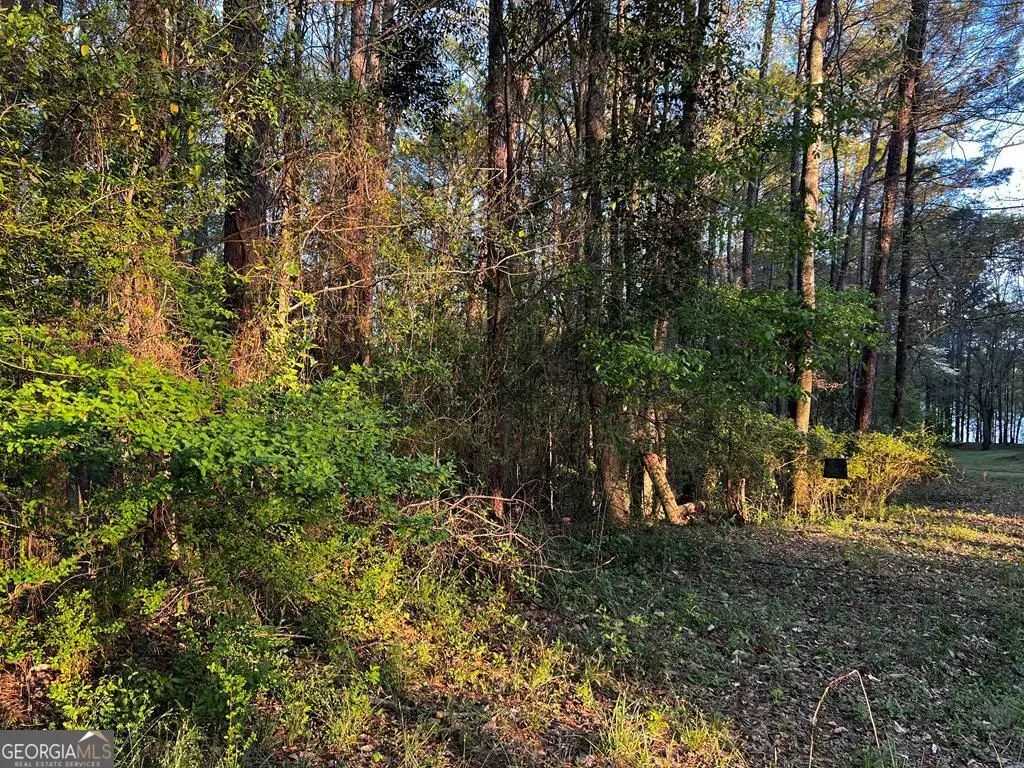 203 View Pointe Lane, Lagrange, GA 30241 - #1